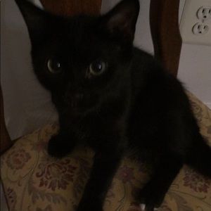 Meet your Posher, Julie